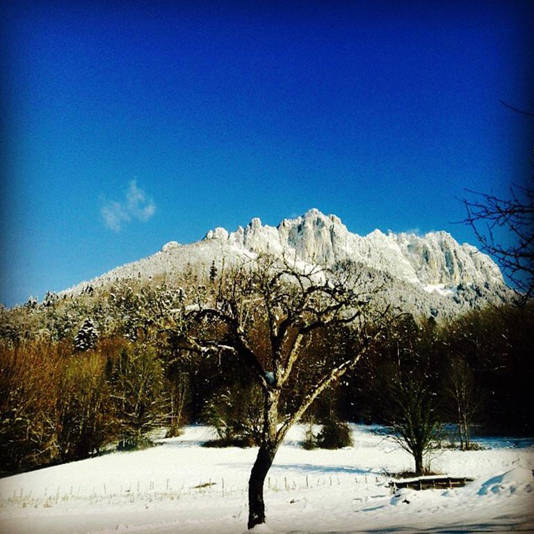 Village Vacances Les Alerions ตัลลัวร์ ภายนอก รูปภาพ